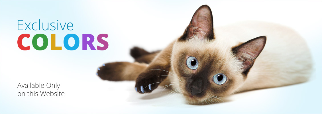 http://www.softpaws.com/product_images/theme_images/banner_04a.jpg?t=1410893797