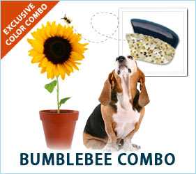 Bumble Bees buzz and so will the canine paparazzi when your dog steps out on the town in these glamorous colors.