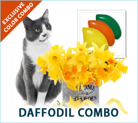 Your cat will look purrdy in our vibrant daffodil ensemble this spring.