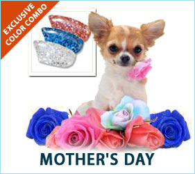 Your canine kid will be ready to say 'Happy Mother's Day' with this sparkly nail cap combo.