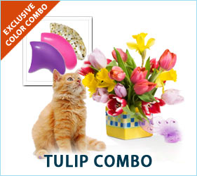 Bask in the vibrant colors of spring when your cat prances around in our exclusive tulip combo.