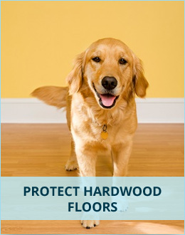 Protect Hardwood Floors