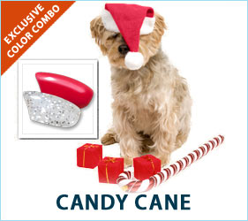 Candy canes, wreaths, sparkling candles, and holiday cheer. All the spirit of the season is on display with these festive canine nail caps.