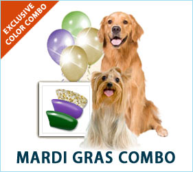 Party dogs will enjoy letting their fur down on Fat Tuesday with our Mardi Gras Combo.