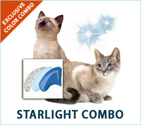 A dreamy starlit night; the Starlight Combo looks stunning on feline feet that are sleeping or dancing the night away.