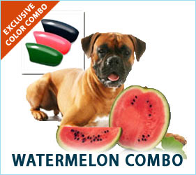 Refreshing, crisp, and cool. Your dog's nail caps will reflect the joys of summertime watermelon.