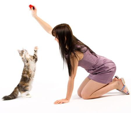 Learn how to train your cat. Avoid these four common cat training mistakes.