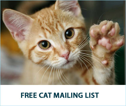 Sign Up for the Free Soft Paws Cat Mailing List