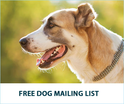 Sign Up for the Free Soft Paws Dog Mailing List