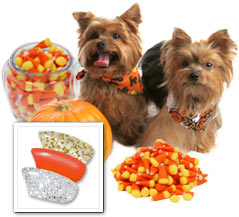 Candy Corn Combo