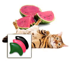 Watermelon nail cap combo