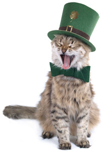 Check out our kitty cat february/march exclusiv color combos Kitty Cat February/March Combos