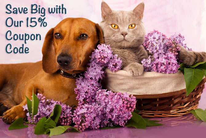 Save Big with Our 15% Coupon Code