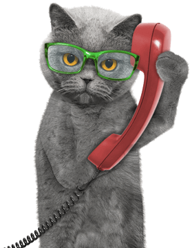 Sign up for our newsletter